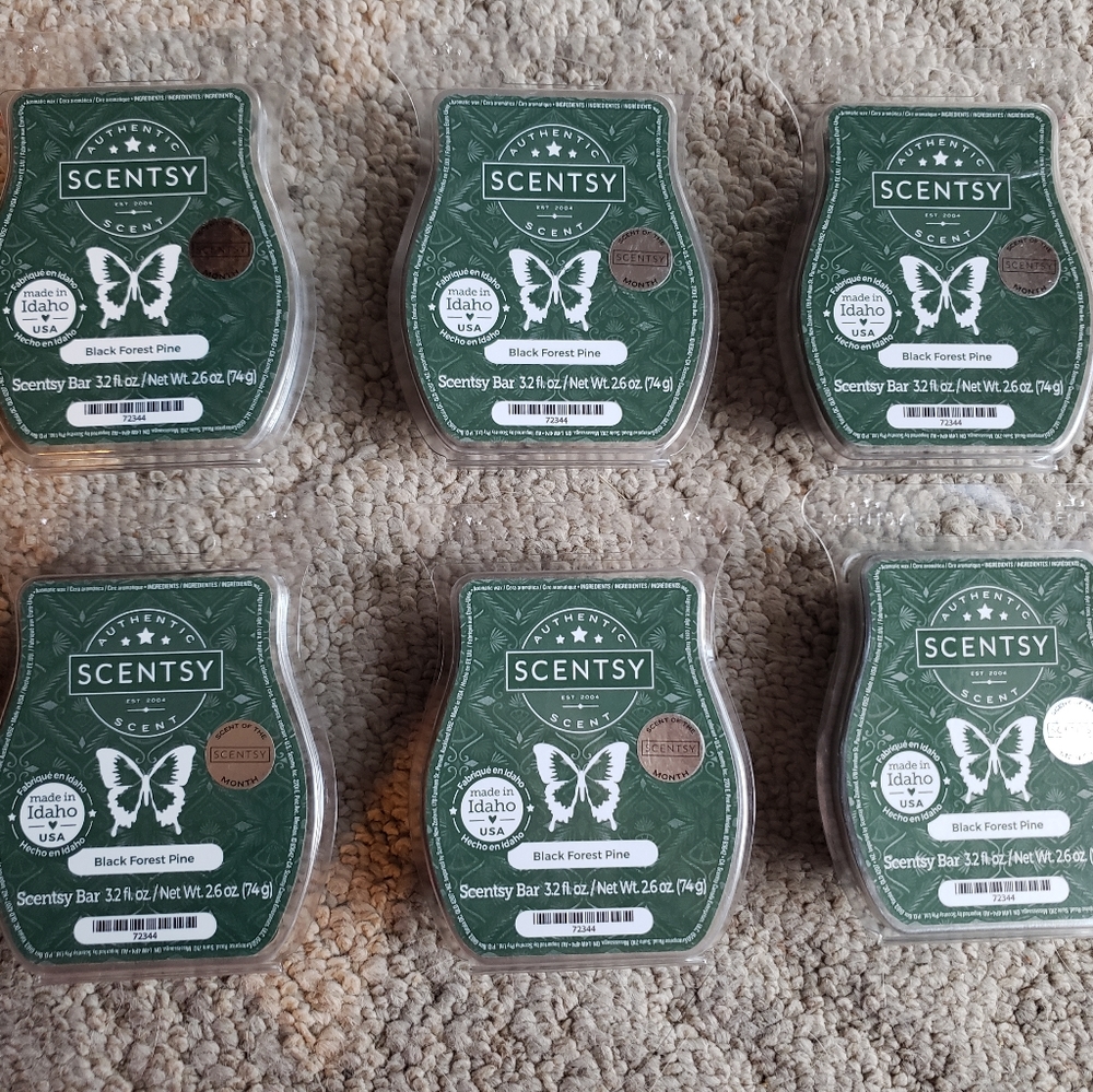 BLACK FOREST PINE SCENTSY LOT